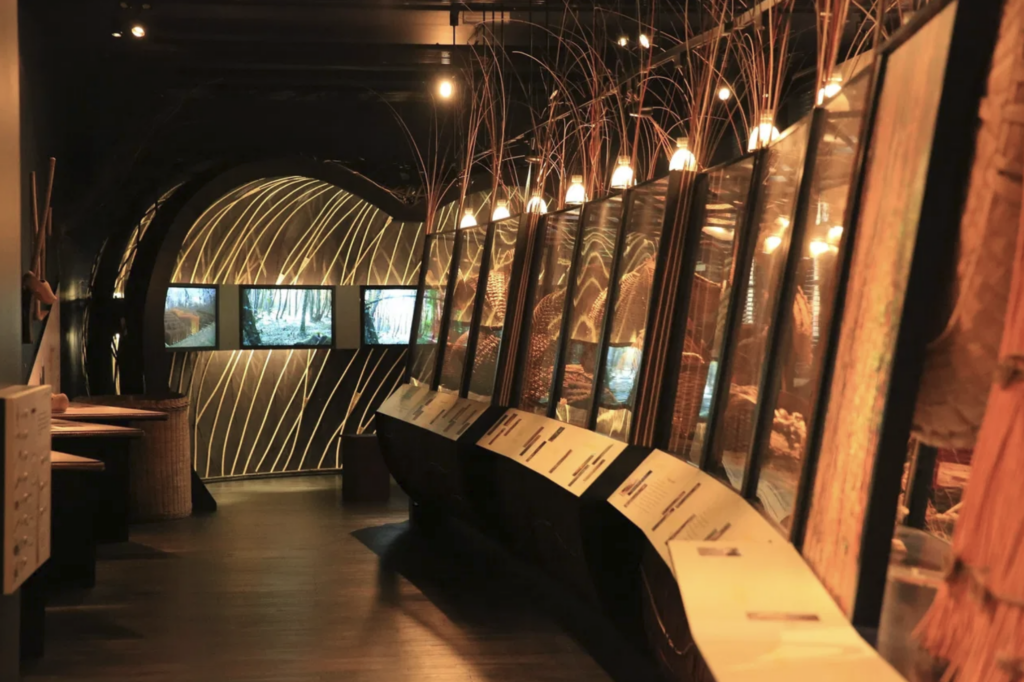 【見どころ解説】籠編み博物館で体験できる3つの魅力